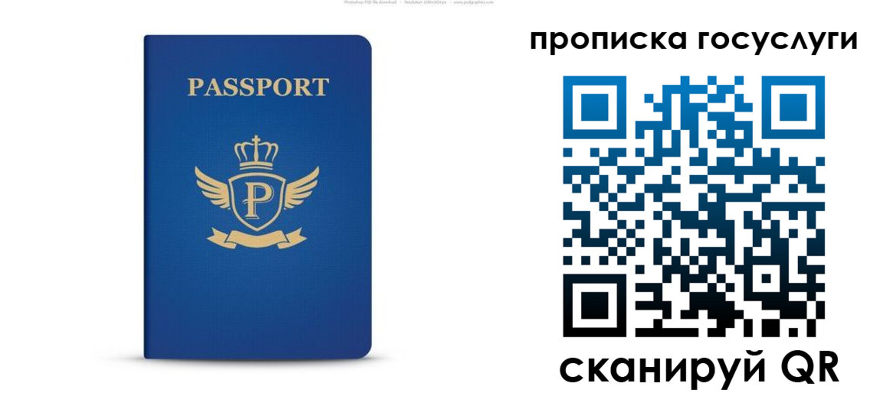прописка для школы в Хотьково
